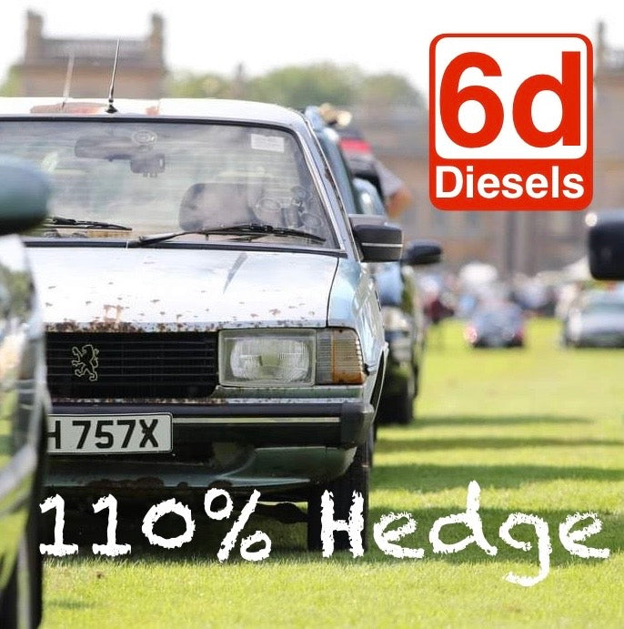 WIN The Hedge!! A 1980 Peugeot 305 1.5SR Estate — 6D Diesels Competition