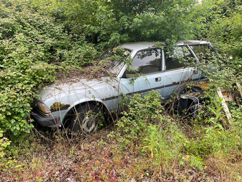 WIN The Hedge!! A 1980 Peugeot 305 1.5SR Estate — 6D Diesels Competition